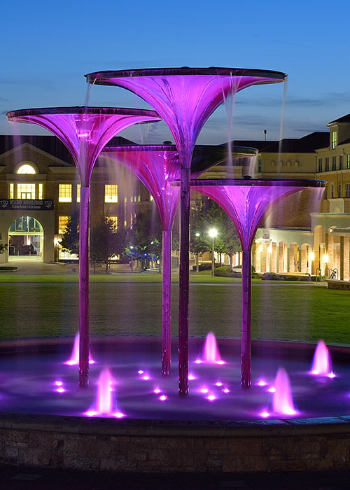 TCU Frog Fountain