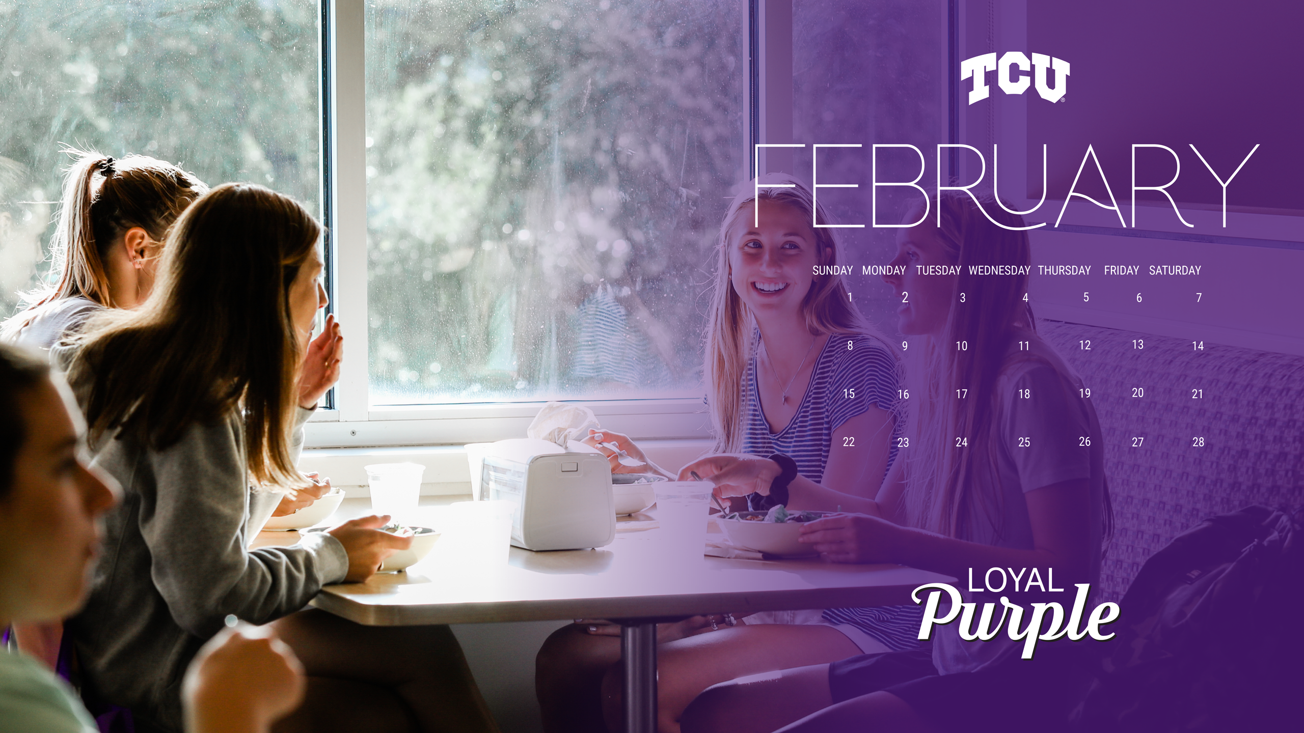 Loyal Purple Zoom Background