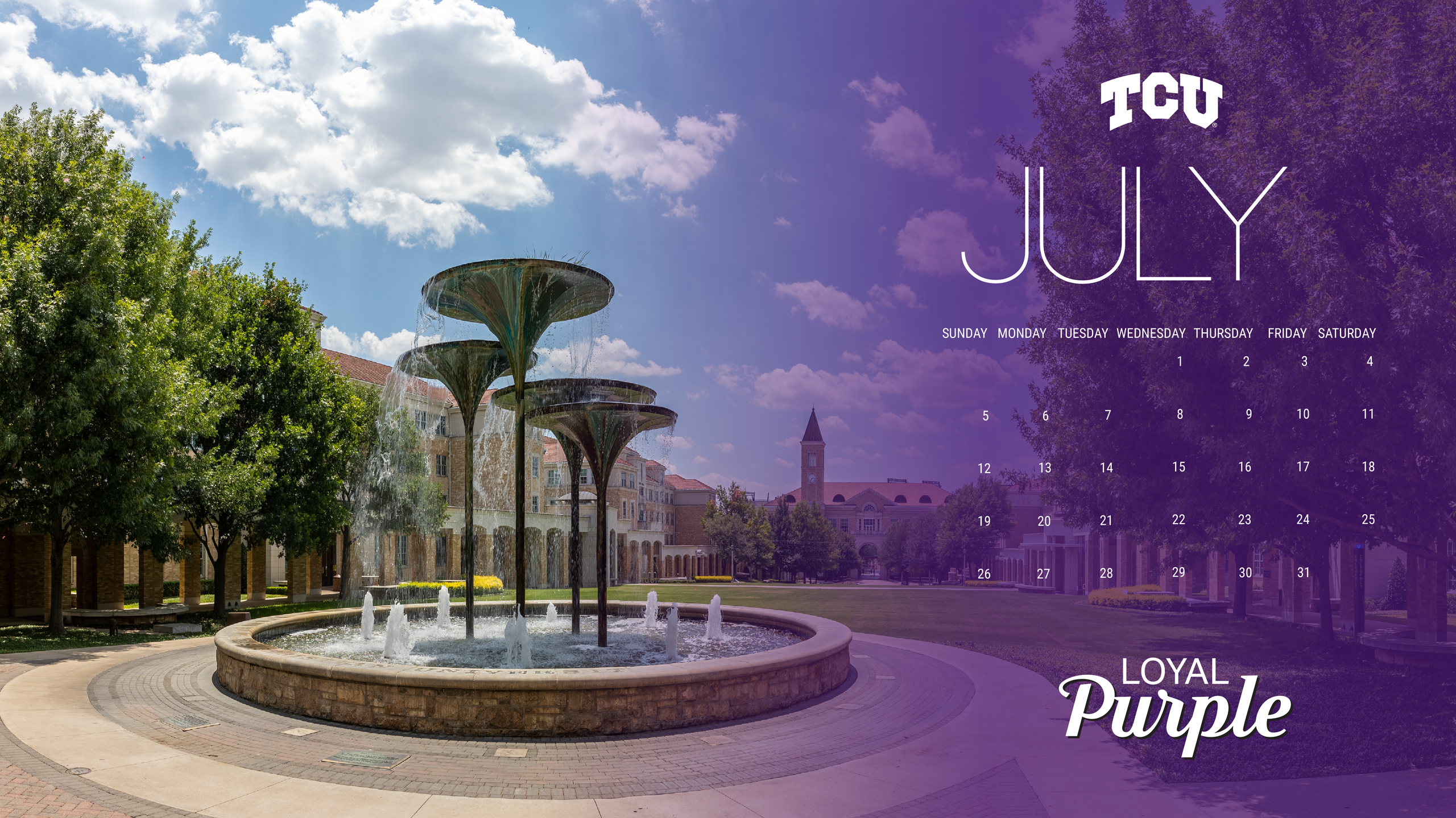 Loyal Purple Zoom Background