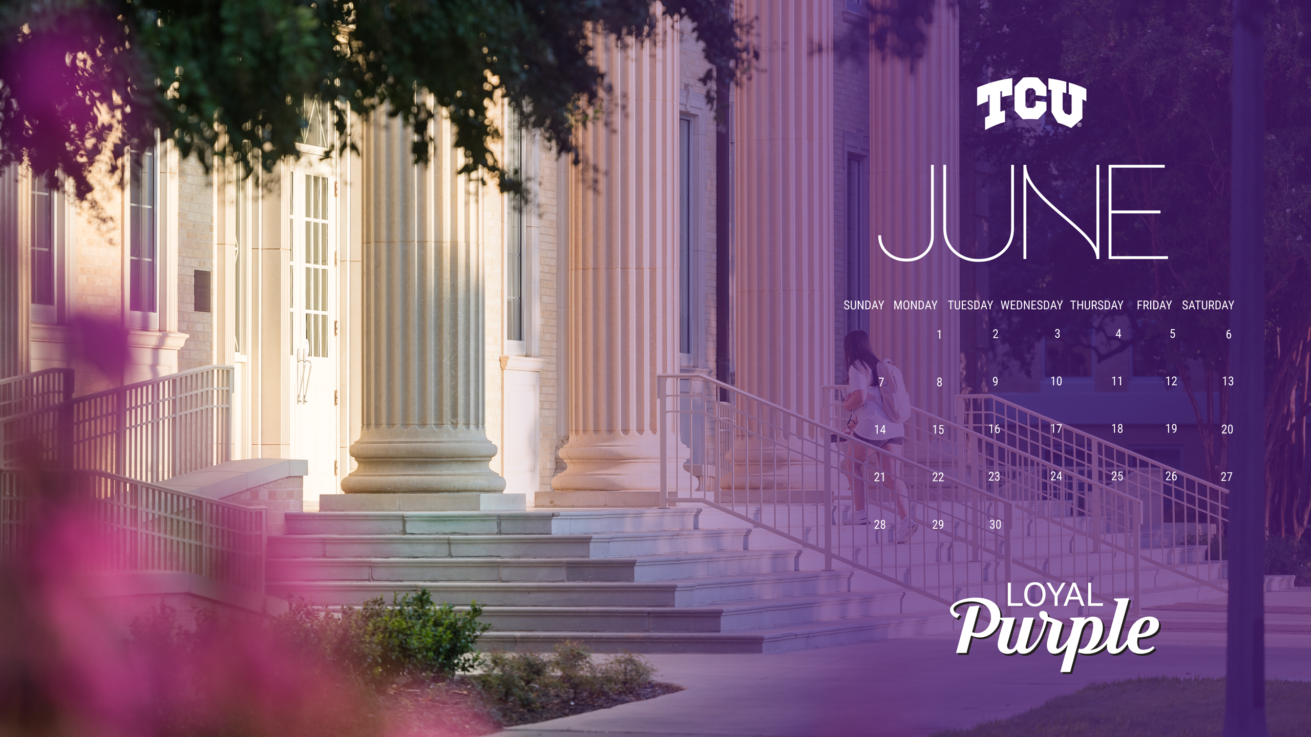 Loyal Purple Zoom Background