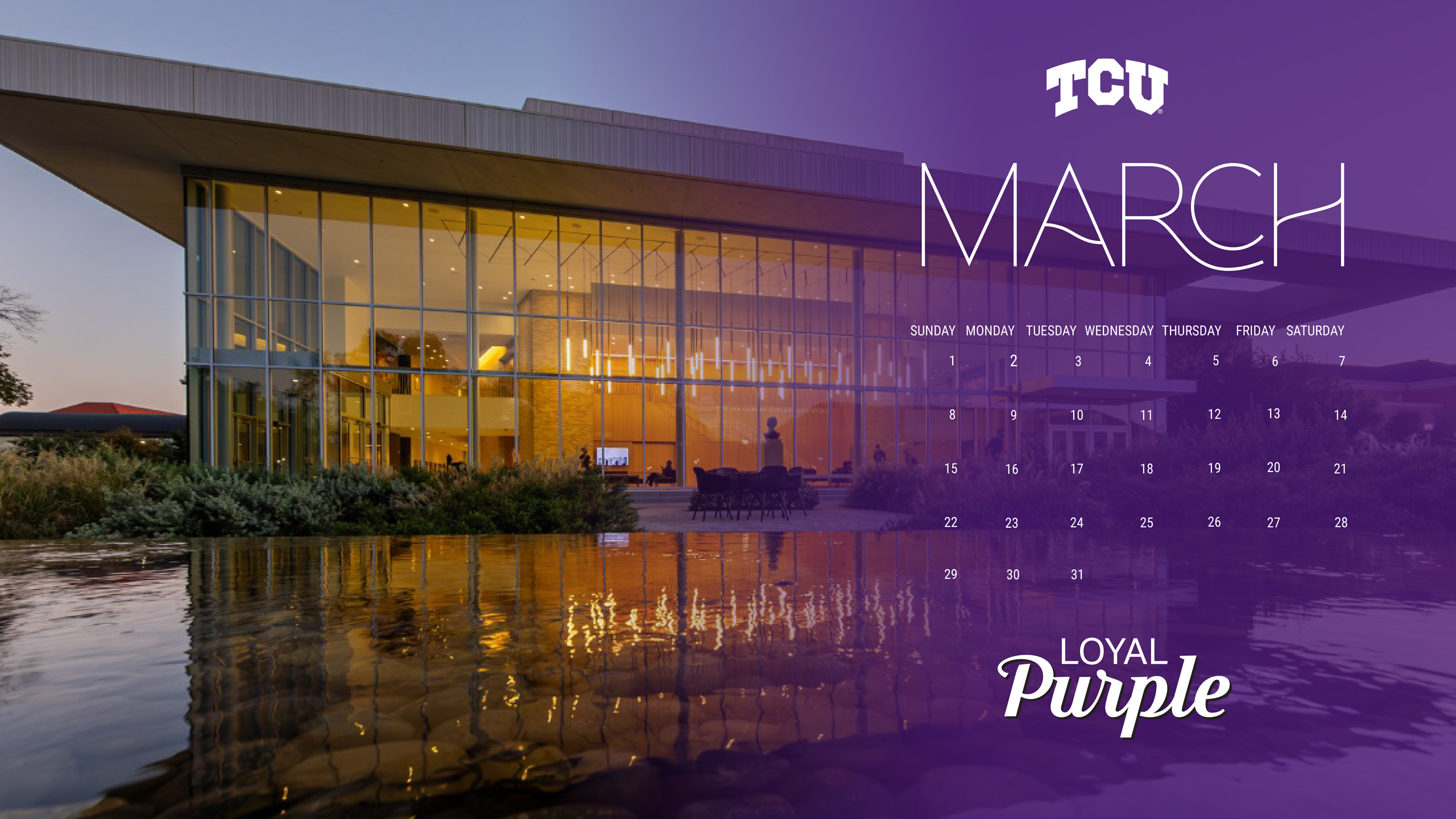 Loyal Purple Zoom Background