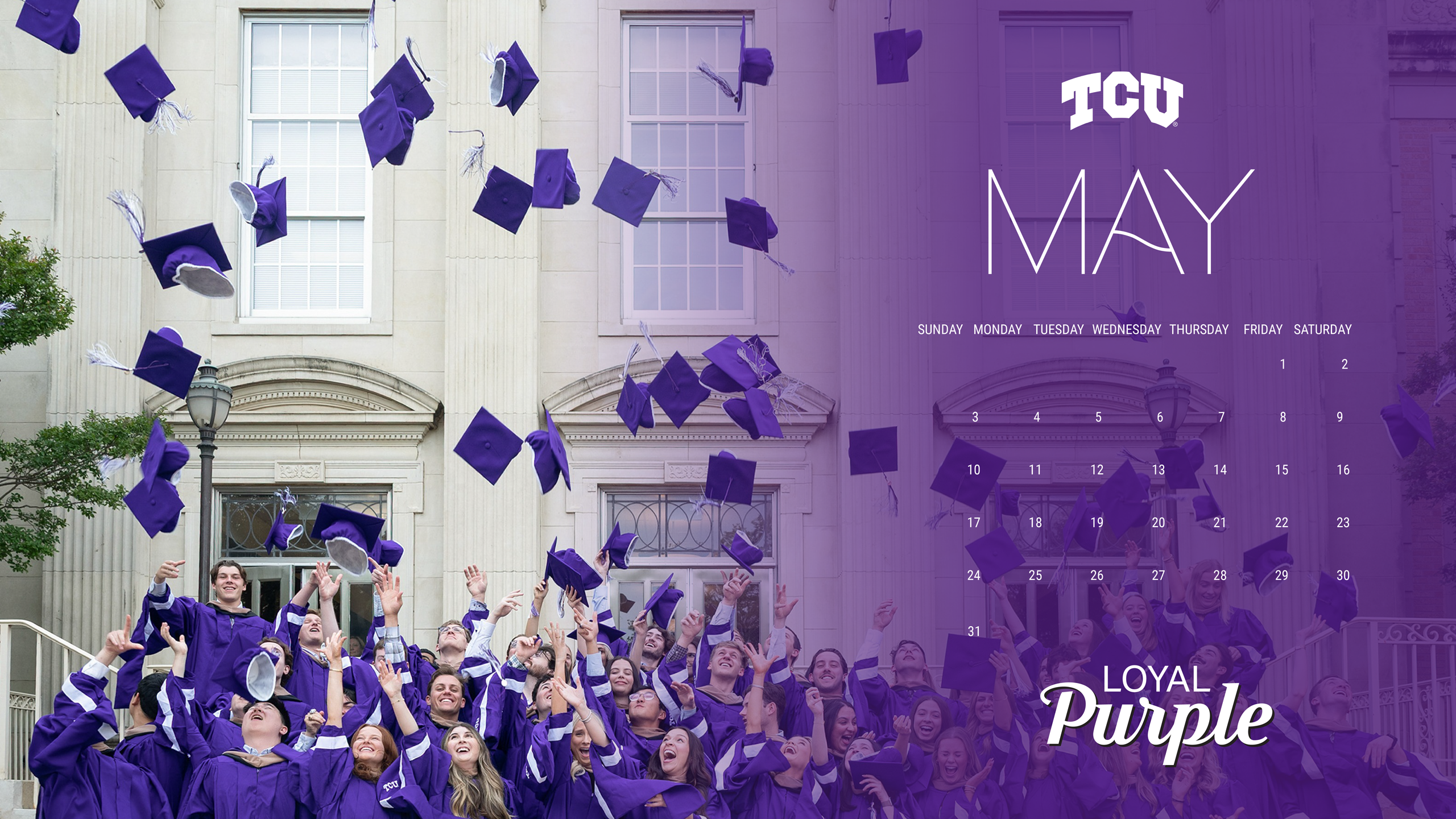 Loyal Purple Zoom Background