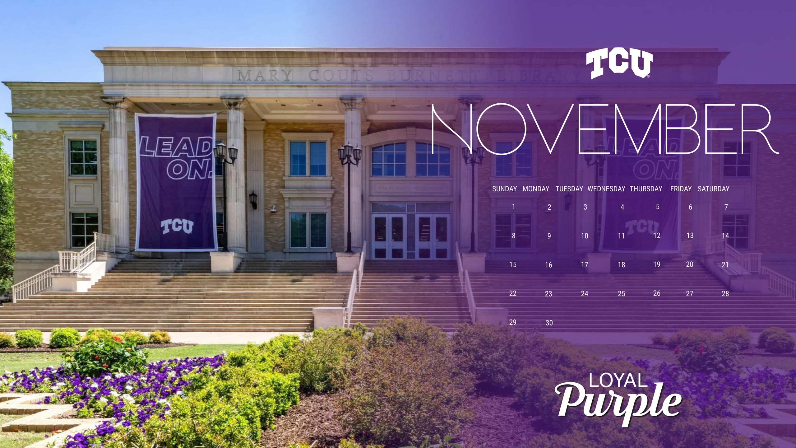 Loyal Purple Zoom Background