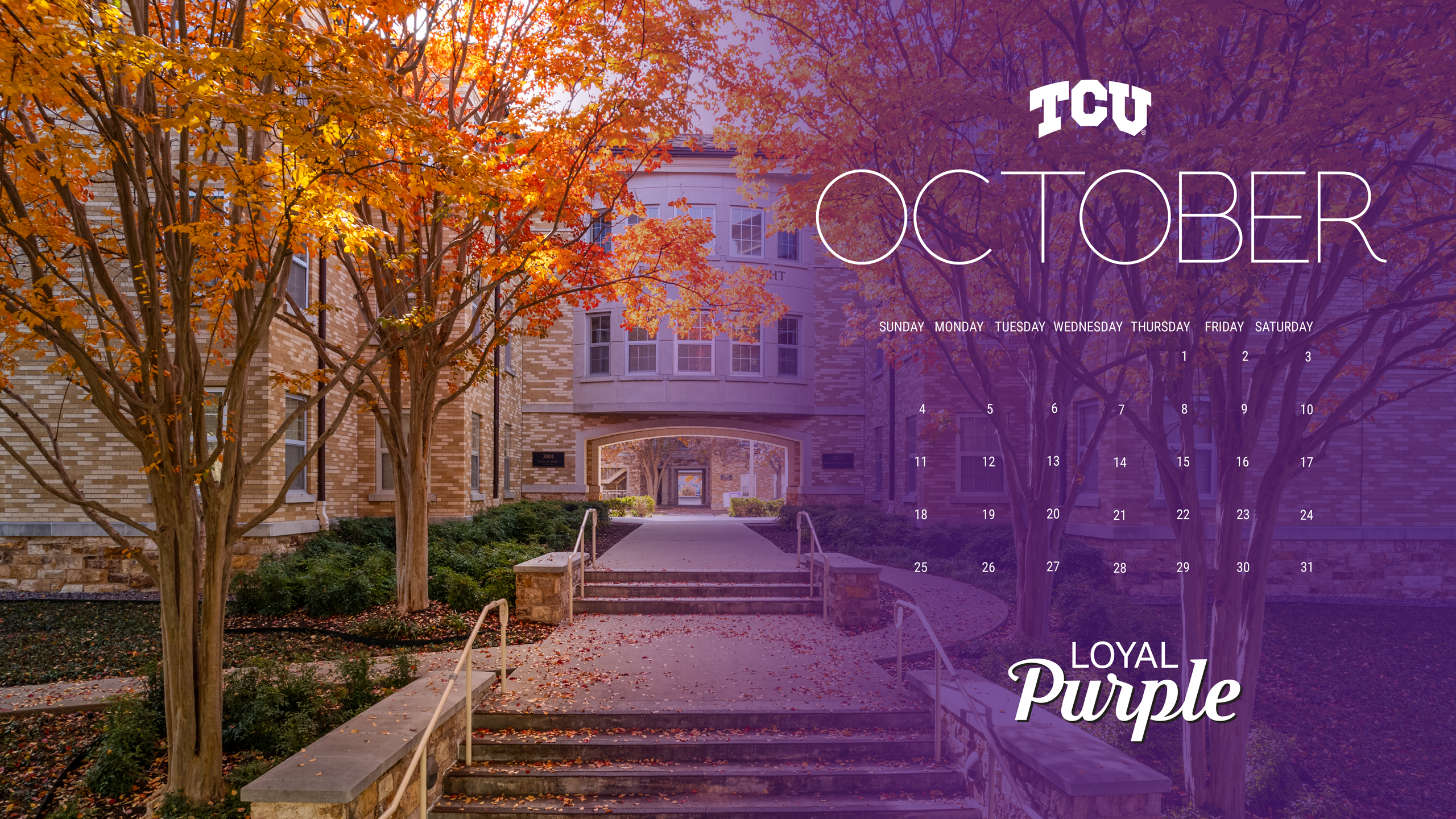 Loyal Purple Zoom Background