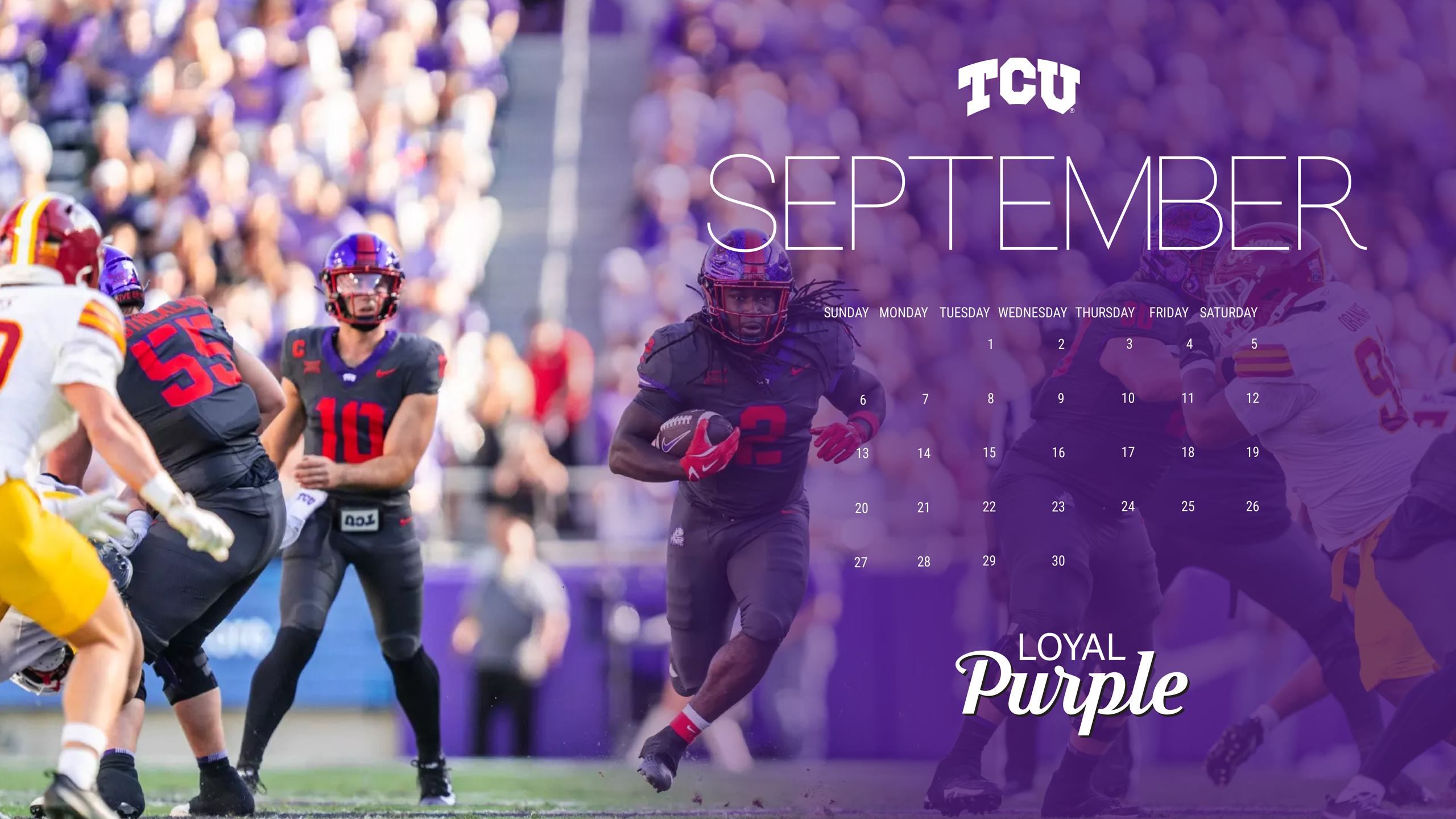 Loyal Purple Zoom Background