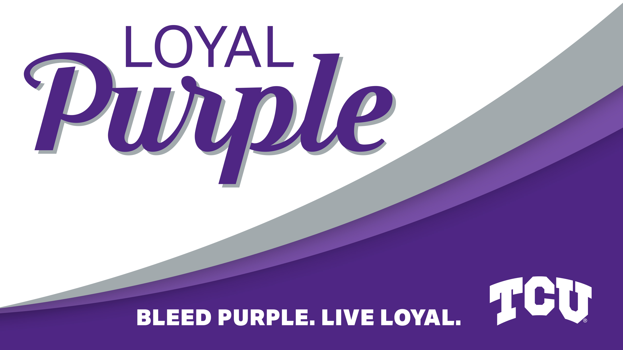 Loyal Purple Desktop Wallpaper 2560x1440