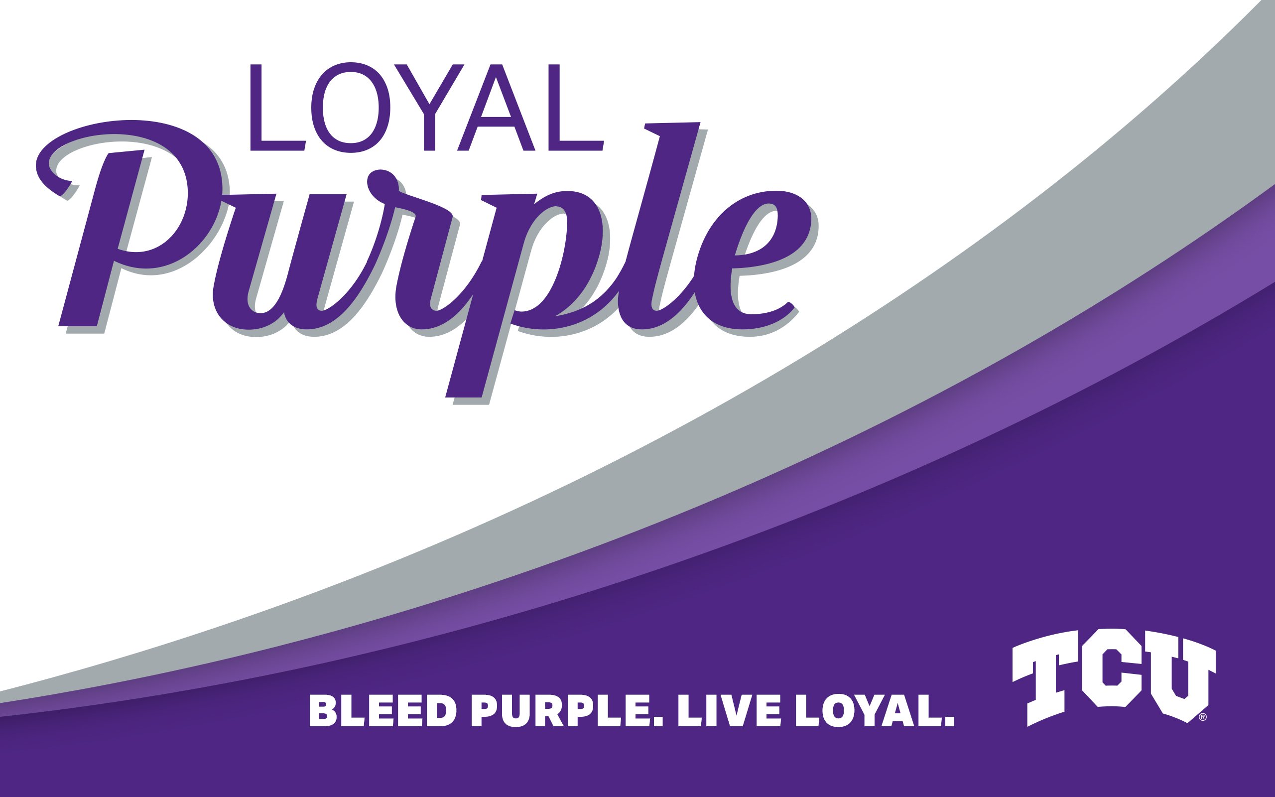 Loyal Purple Desktop Wallpaper 2560x1600