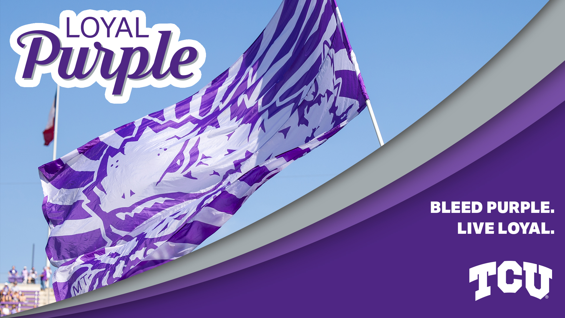 Loyal Purple Zoom Background 3