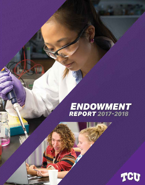 2017-2018 Endowment Report