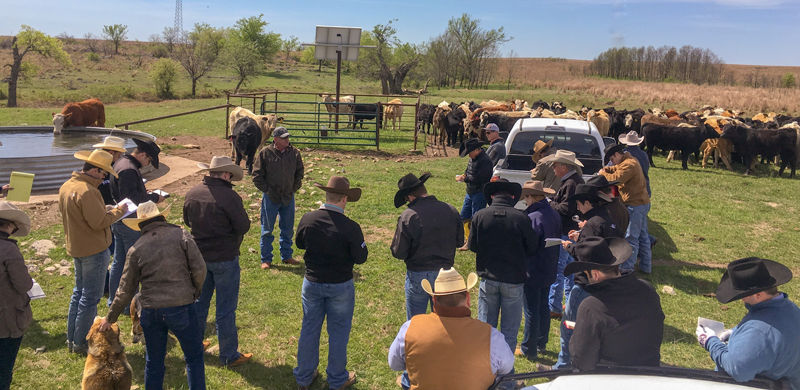 TCU Ranch Management